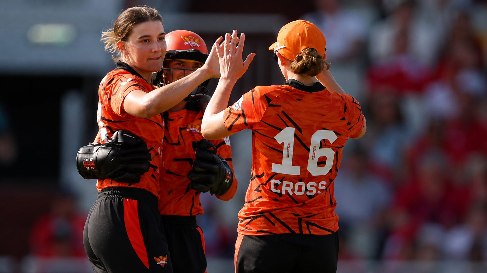 The all-rounder's beauty: Sutherland's bat, ball and hands send Sunrisers into the Eliminator