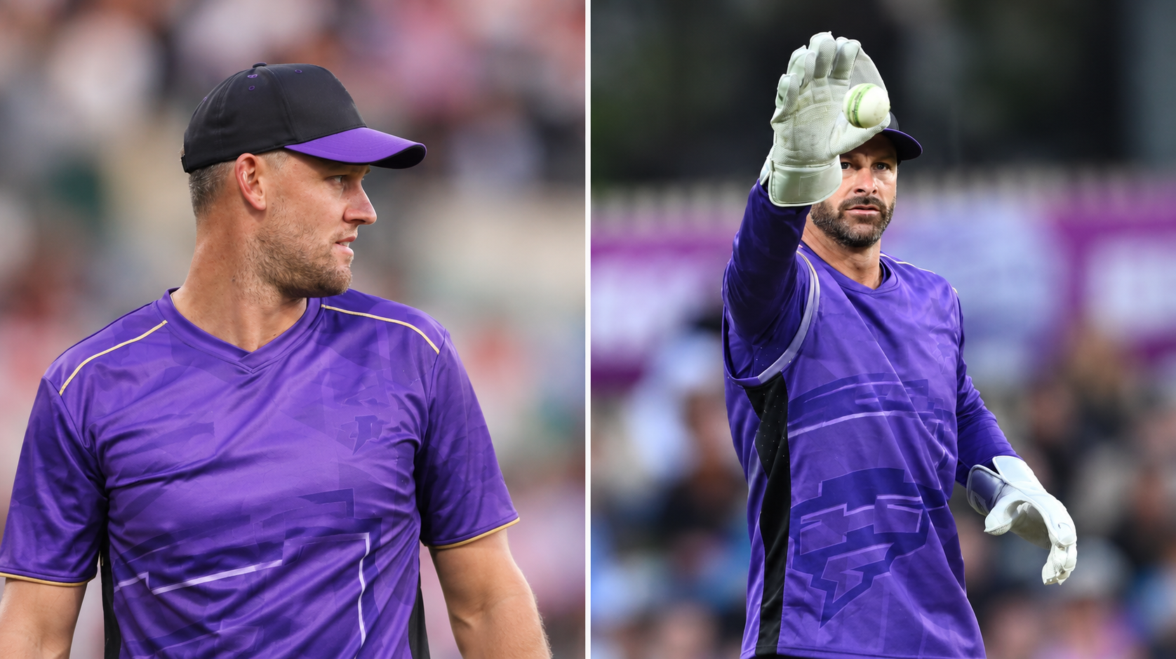 Matthew Wade Announces BBL Retirement, Turns Full Focus to Coaching